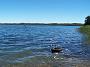 seal-rocks 074
